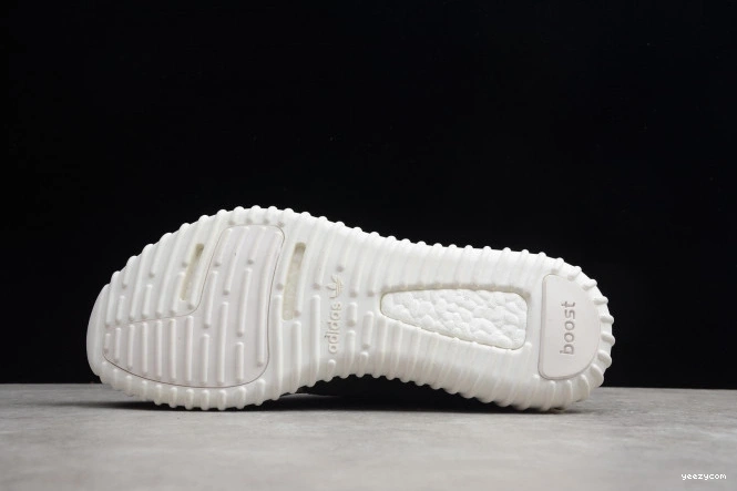 Dove YEEZY AQ4832 Turtle 350 Adidas Boost 1210